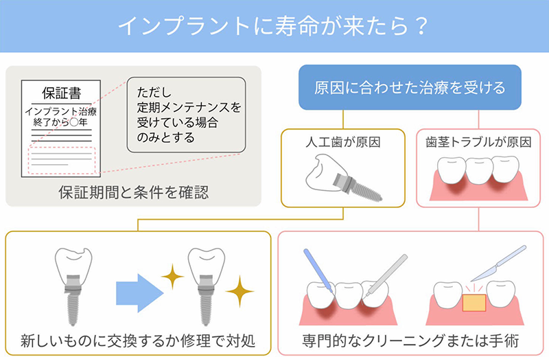 インプラントに寿命が来たら？：保証期間と条件を確認 / 原因に合わせた治療を受ける（人工歯が原因 → 新しいものに交換するか修理で対処 / 歯茎トラブルが原因 → 専門的なクリーニングまたは手術）